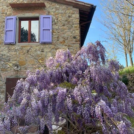Antico Casale Il Fiorentino Montenero  Exterior foto