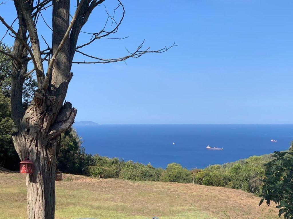 Antico Casale Il Fiorentino Montenero  Exterior foto